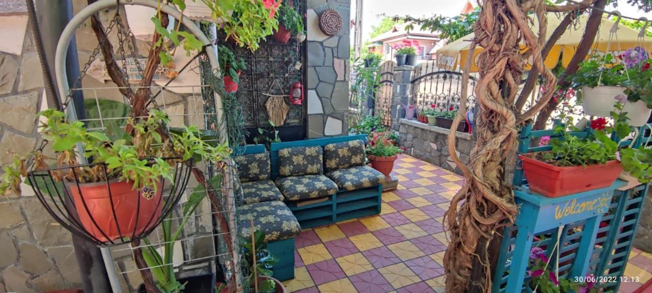 Vila Traian Si Teodora كوستِنيست المظهر الخارجي الصورة