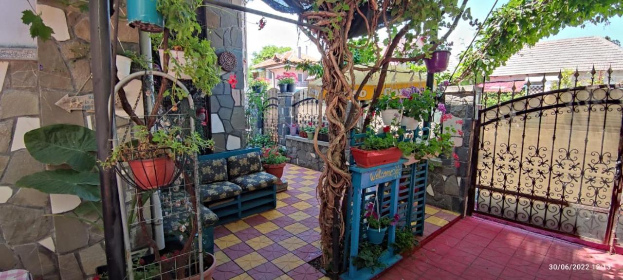 Vila Traian Si Teodora كوستِنيست المظهر الخارجي الصورة