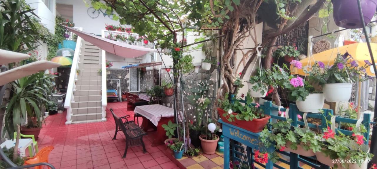 Vila Traian Si Teodora كوستِنيست المظهر الخارجي الصورة